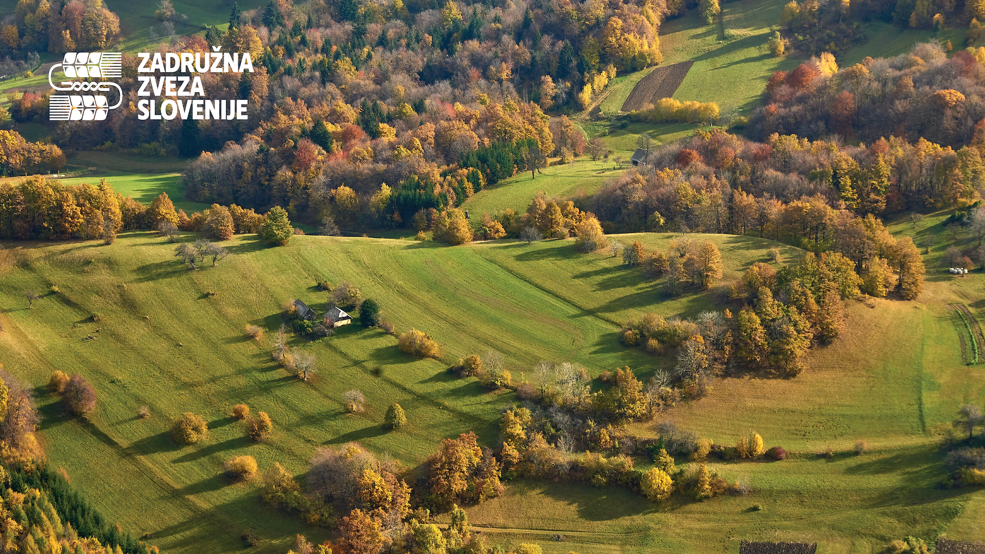 ZZS Zoom ozadje Planina